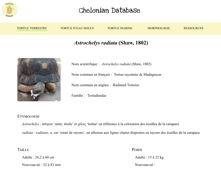 Page Chelonian Database